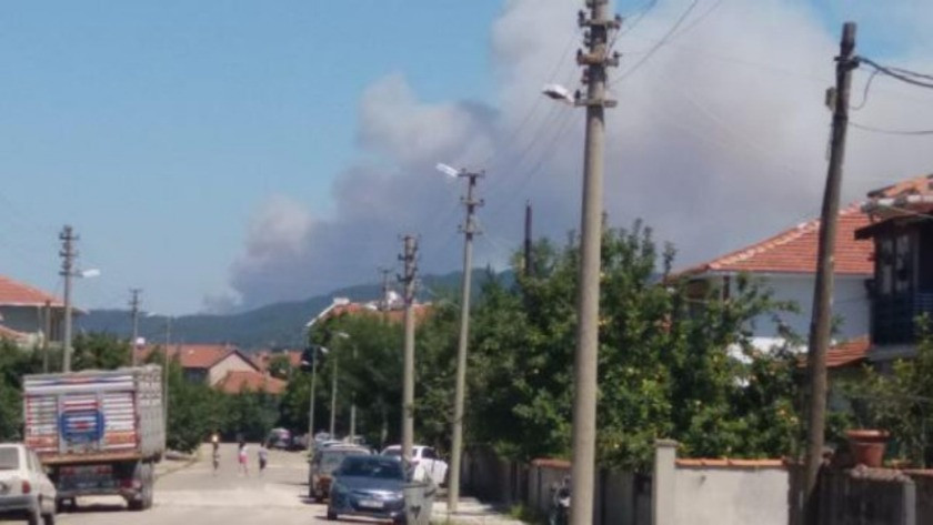 İzmir ve Çanakkale'de ciğerlerimiz yanıyor
