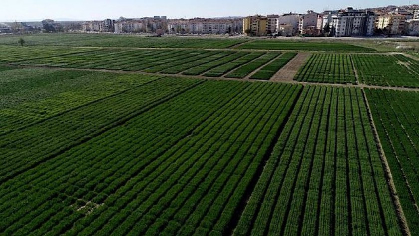 Trakya'da tepki çeken tarım alanı kararı