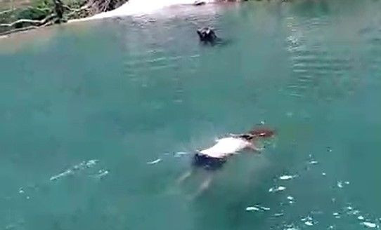 Antalya Alanya'da havuza atlayan gencin hayatı karardı! İşte genç adamı felç eden olay! video - Sayfa 2