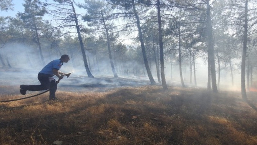 Gaziantep'te piknik ateşi 1 hektarlık alanı kül etti