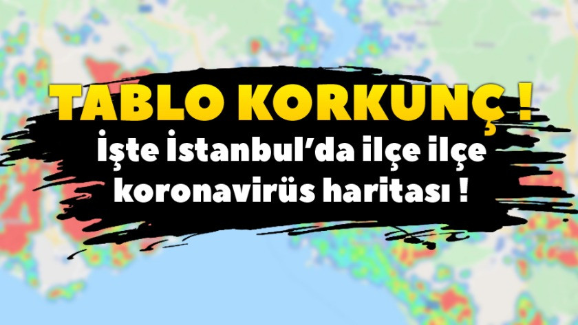 İşte İstanbul'da koronavirüs vakasının en fazla olduğu iller!