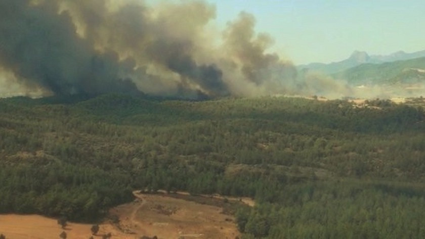 Antalya Serik'te korkutan orman yangını