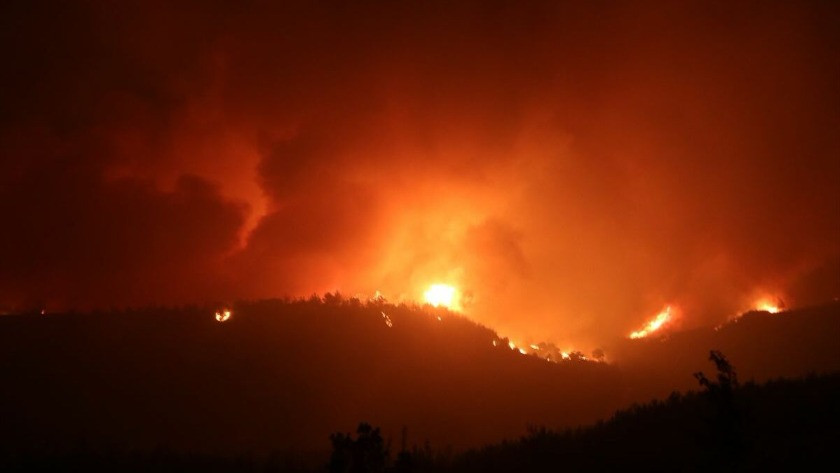 Adana'da korkutan orman yangını! 6 köy boşaltıldı