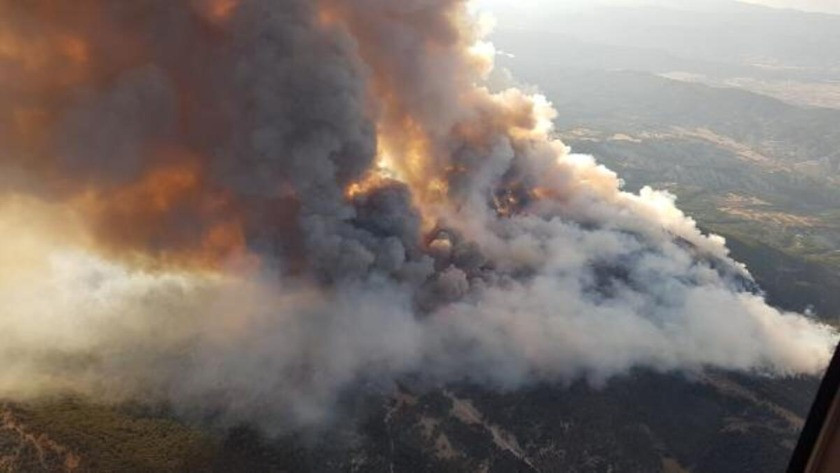 Ankara'da korkutan orman yangını! Yerleşim yerlerine yaklaşıyor...