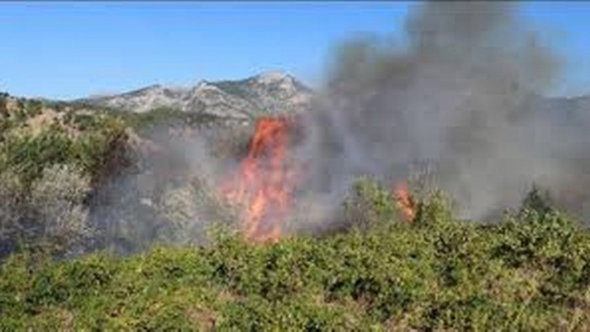 Pakdemirli: 11 orman yangınının 10'unu kontrol altına aldık