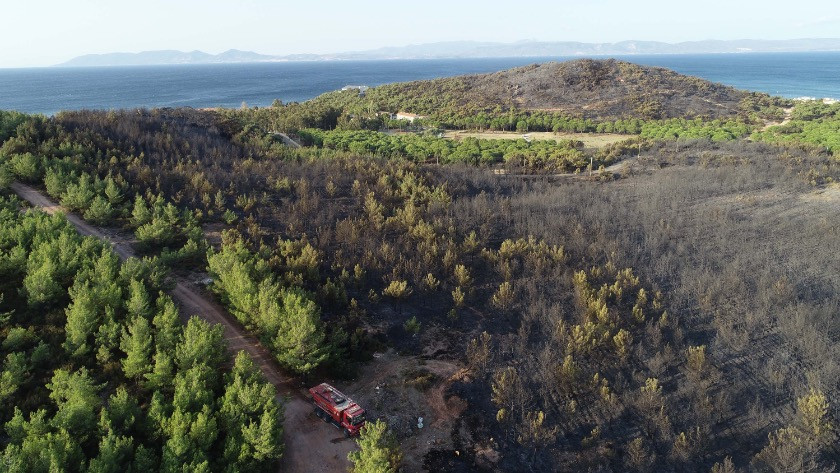Ayvalık'ta 80 hektar ormanlık alan yandı