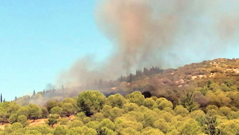 İzmir Aliağa'da korkutan orman yangını
