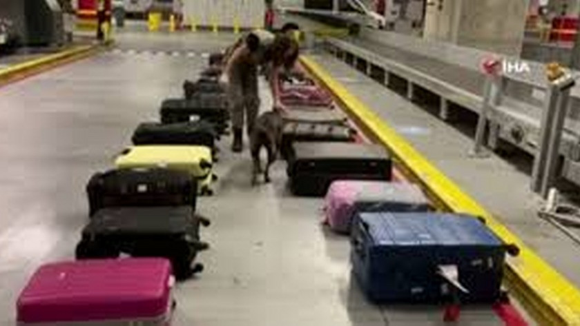 Üç ayrı operasyonda, yolcu valizleri içinde uyuşturucu ele geçirildi