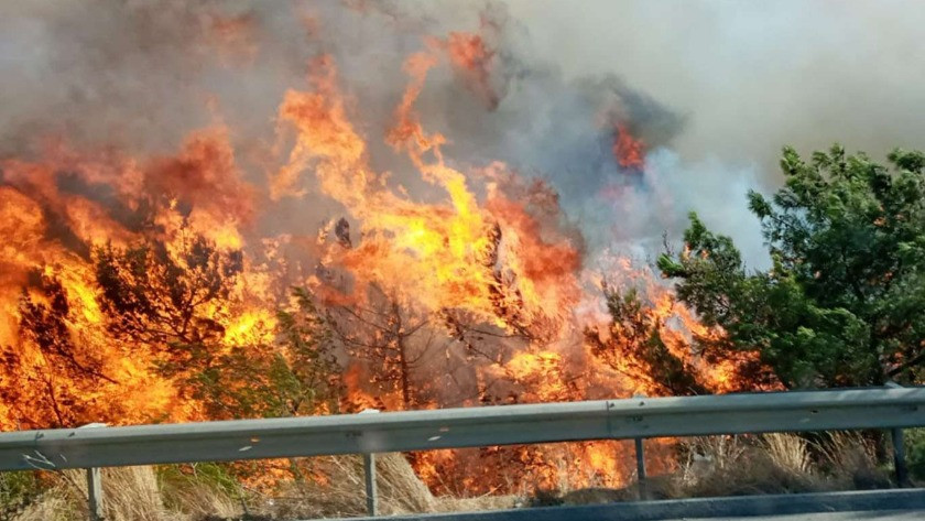 Hatay'da orman yangını! Evler tahliye edildi