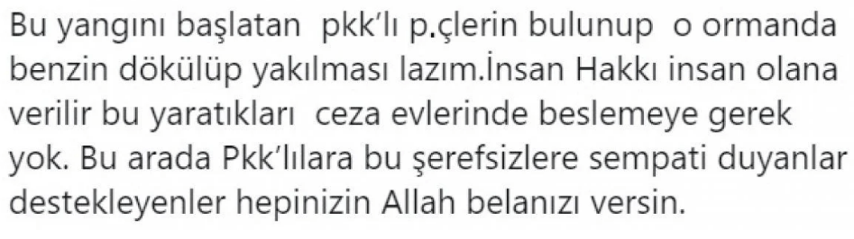 Ünlüler PKK'ya Hatay yangını için ateş püskürdü! - Sayfa 3