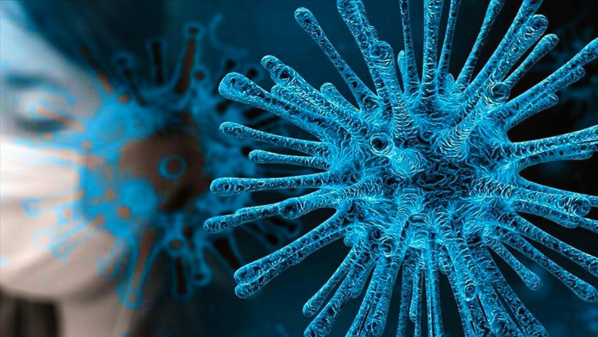 Koronavirüs belirtileri neler? Koronavirüs yeni semptomları