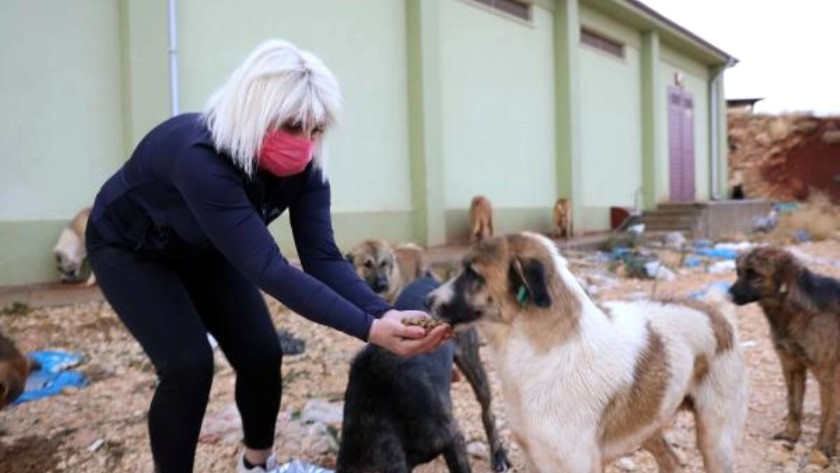 Hayvansever kadın köpeklerin mamalarını çalan kişiyi dövdü