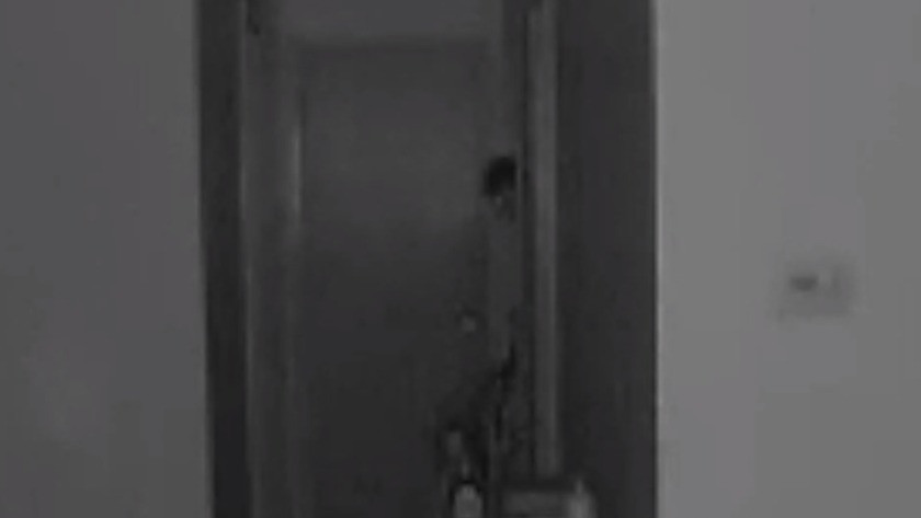 Evdeki güvenlik kamerasına bakan kadın dehşete düştü - İZLE