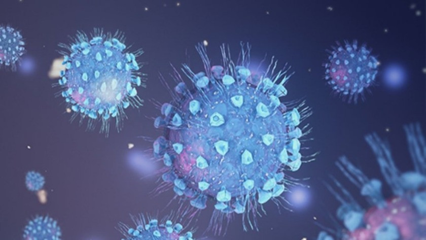 Koronavirüs belirtileri nasıl başlar? Gün gün koronavirüs belirtileri