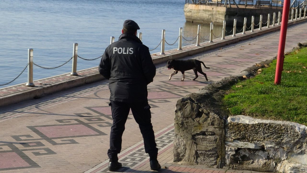 Zonguldak'ta pitbull dehşeti! Boğarak öldürdü, polisin biber gazı da kurtaramadı - Sayfa 3