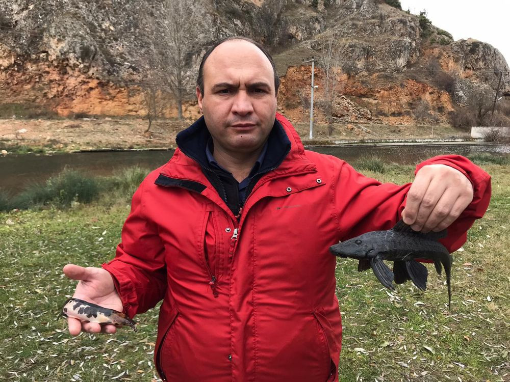 Dünyayanın en tehlikeli canlılarından karada da yürüyebilen istilacı balıklar Eskişehir’de görüldü! - Sayfa 1