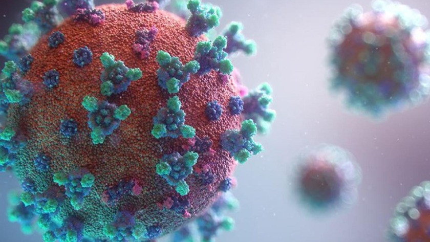 Mutasyona uğrayan koronavirüsle ilgili Tevfik Özlü'den kritik uyarı