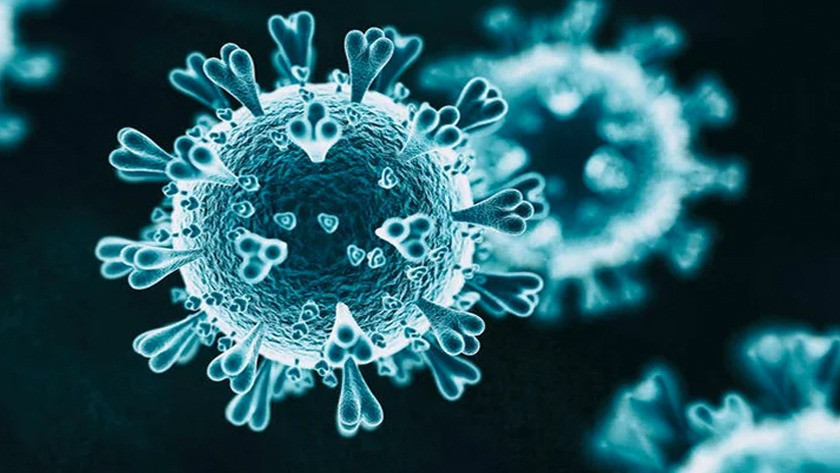 Çin aşısı koronavirüse karşı etkili mi? Brezilya Çin aşısı 3. faz son deneylerinin açıkladı!