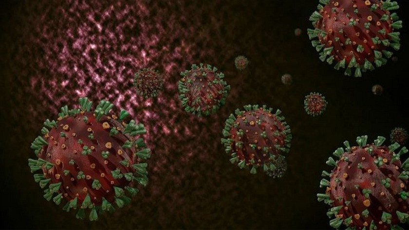 Koronavirüs mutasyonu 1 ülkeye daha sıçradı