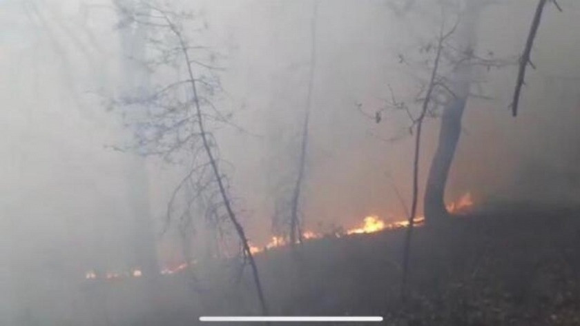 Artvin’de ormanlık alanda korkutan orman yangını