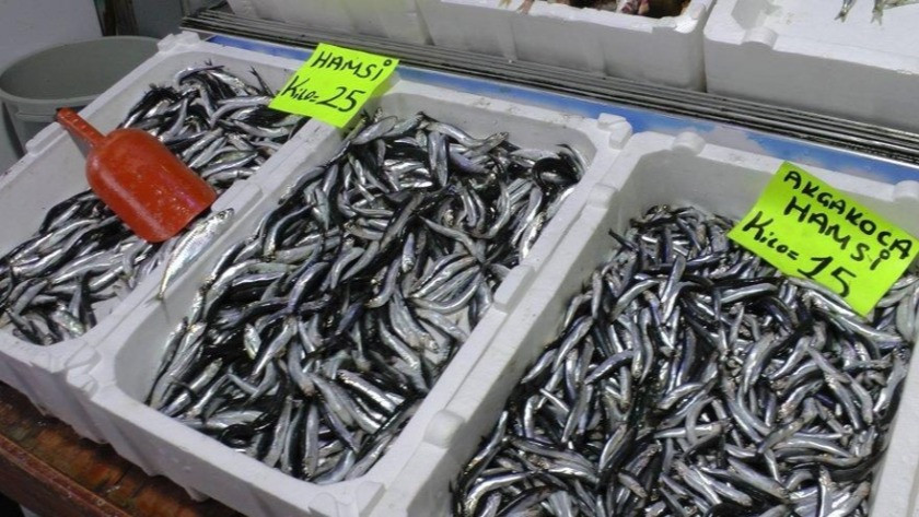 İstanbul Boğazı ve Karadeniz'de hamsi avı 10 gün boyunca yasaklandı