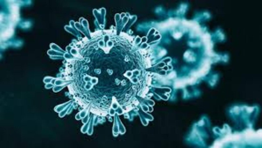Mutasyonlu virüs 3 ülkede daha görüldü
