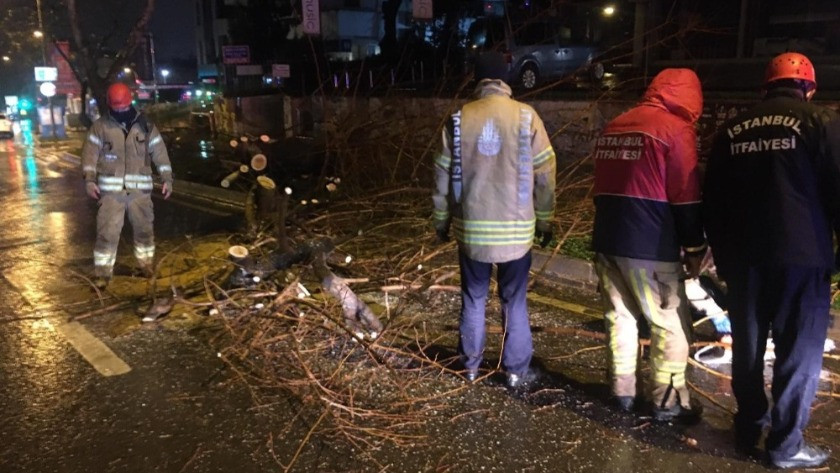 Bağdat Caddesi’nde şiddetli sağanak ve rüzgar nedeniyle ağaç devrildi