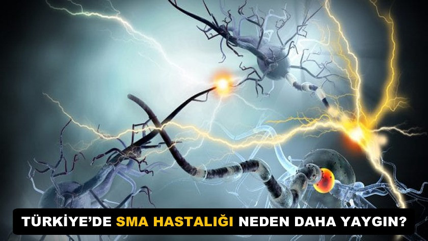 Türkiye’de SMA hastalığının neden daha yaygın? Prof. Dr. Tayfun Uzbay açıkladı!