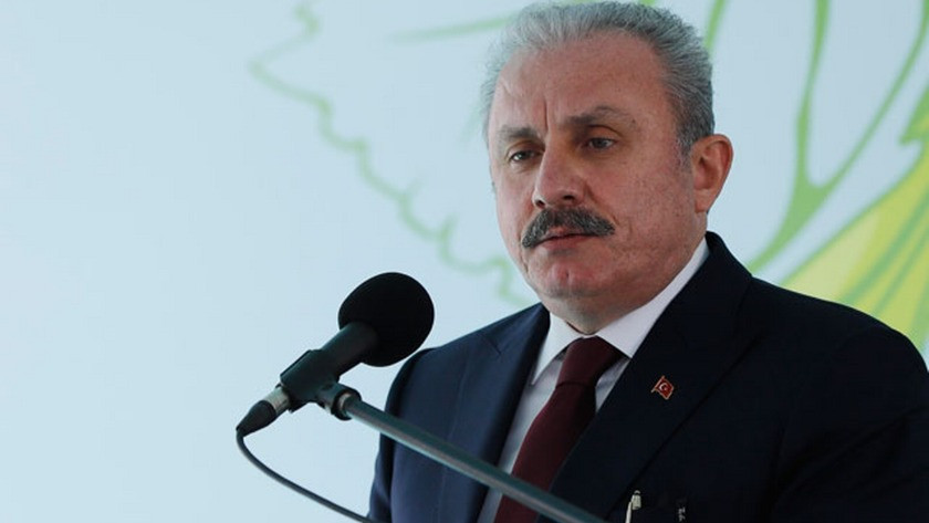 Mustafa Şentop Selçuk Özdağ'a saldırıyı kınadı