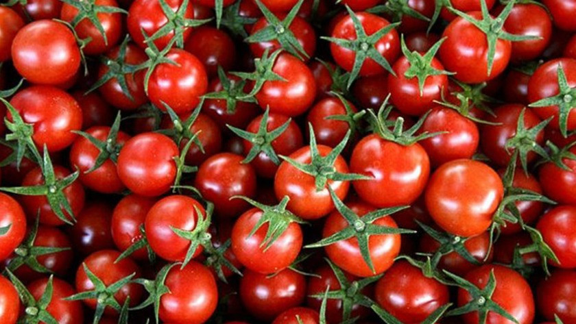 Rusya'ya domates ihracatında kota 250 bin tona yükseltildi
