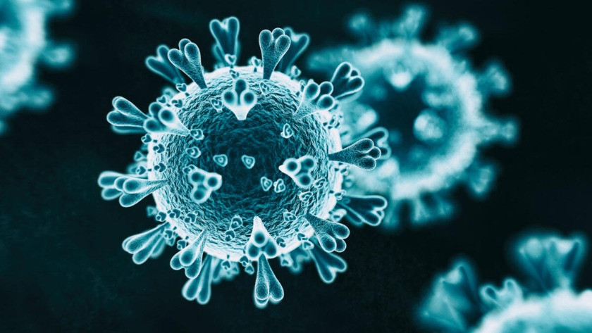 Mutasyonlu koronavirüsle ilgili bir ilk! İşte mutasyon geçiren koronavirüsün ilk fotoğrafı