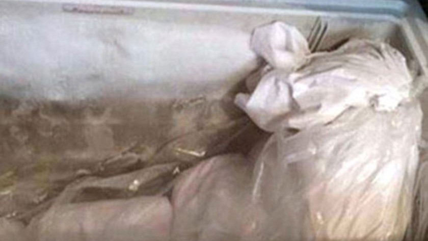 Annesinin cesedini 10 yıl dondurucuda saklamış! Gerçek böyle ortaya çıktı