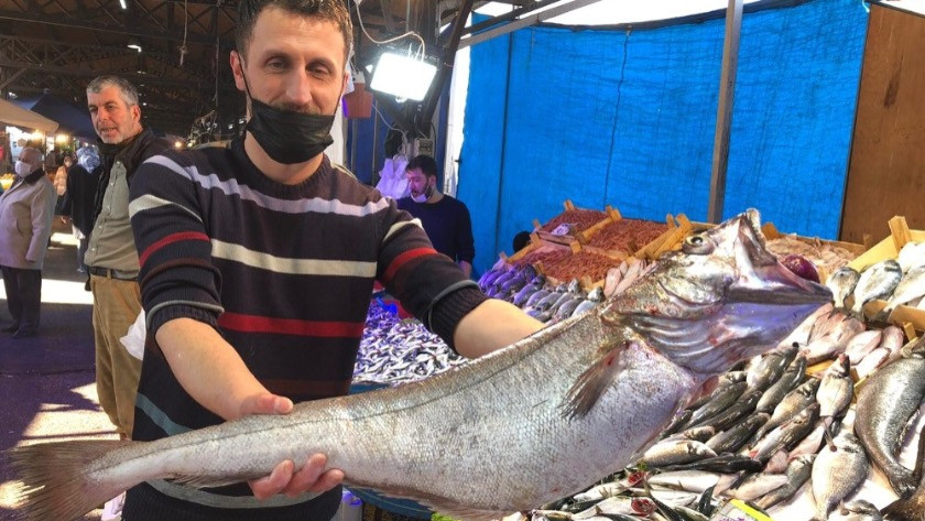 Bursa’da 6 kiloluk dev mezgidi görenler gözlerine inanamadı