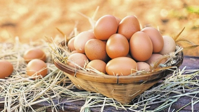 Yumurta üreticisinden gezen tavuk yumurtası uyarısı