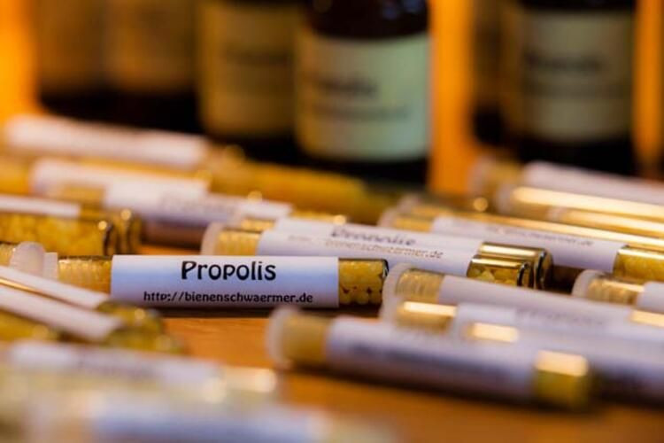Propolis, koronavirüsten korur mu? İşte korona virüse meydan okuyan propolisin faydaları - Sayfa 1