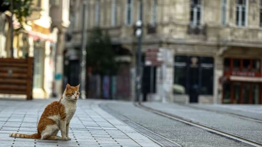 1 Mart'ta 20 yaş altı sokağa çıkma yasağı kalkıyor mu?