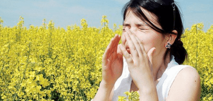 Polen alerjisi nedir? Polen alerjisinin belirtileri neler? - Sayfa 1