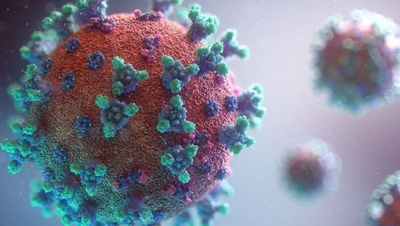 Mutasyonlu korona virüs belirtileri nelerdir? İşte gün gün mutasyonlu koronavirüsün belirtileri - Sayfa 1