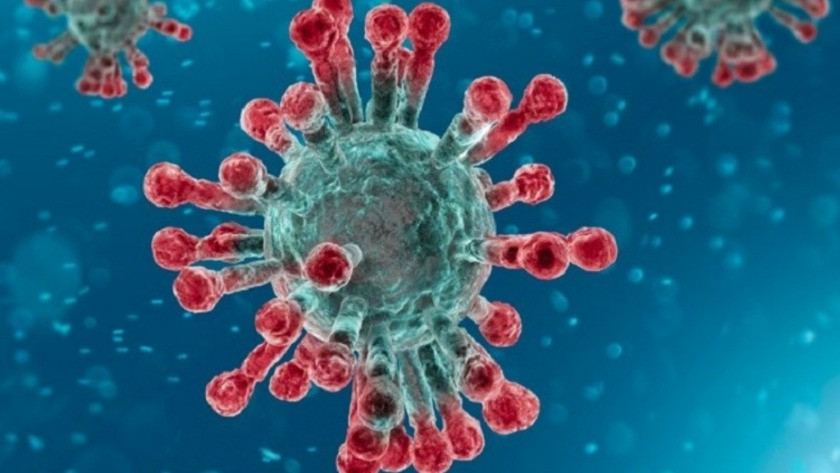 Koronavirüsün bulaşmasıyla ilgili şok iddia