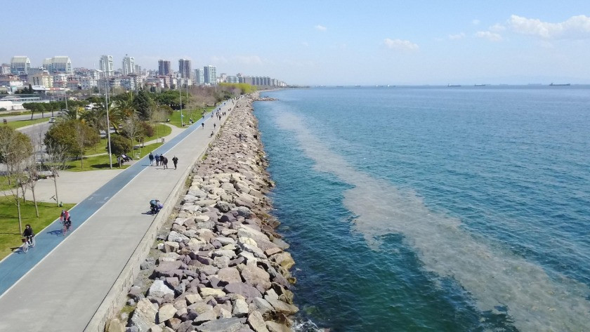 İstanbul Kartal sahilinde deniz salyası endişesi