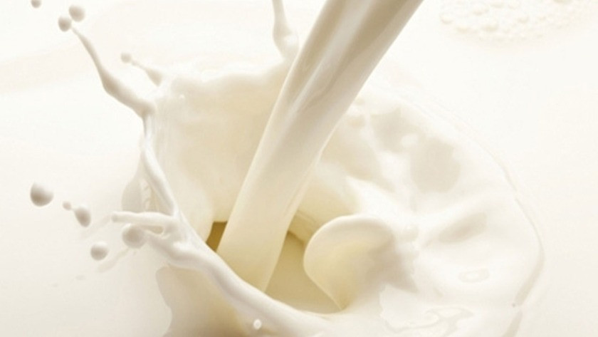 Çiğ süt desteğinin 2021-2022 yılı detayları belli oldu