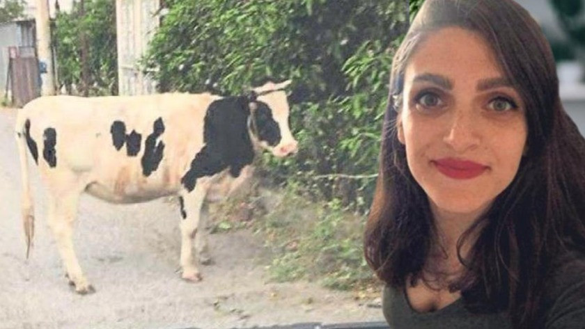 Boşandığı eşine sosyal medyadan 'inek'li gönderme yapan kadına ceza