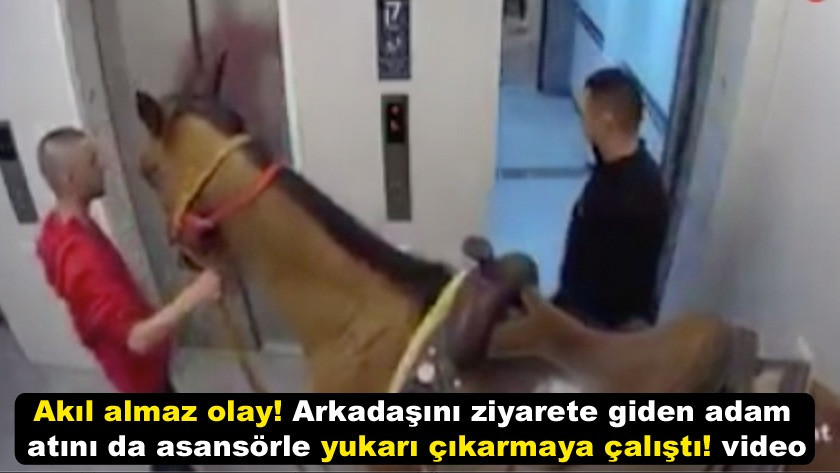 Arkadaşına giden adam atını da asansörle yukarı çıkarmaya çalıştı!