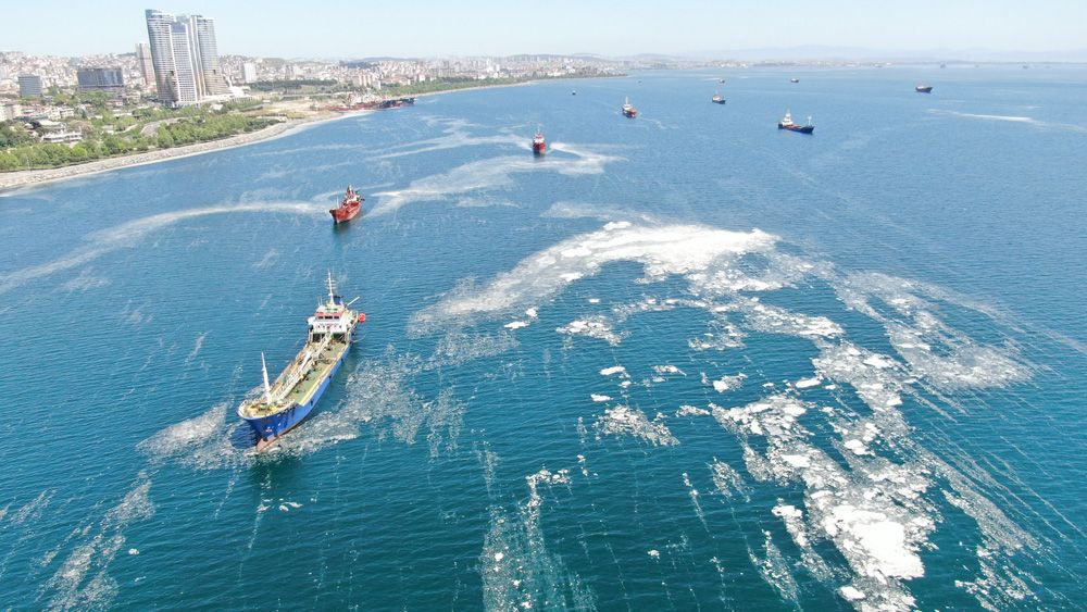 İstanbul sahillerini istila eden deniz salyalarında yoğunluk arttı! video - Sayfa 1