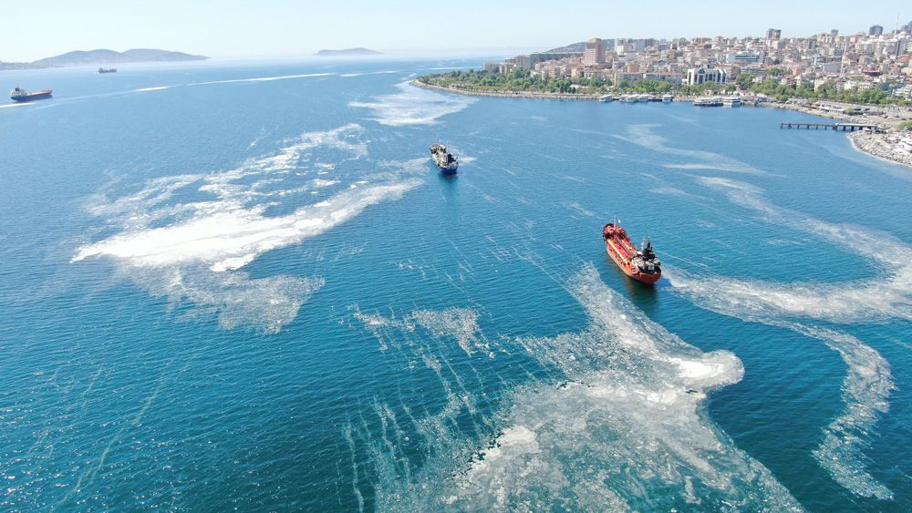 İstanbul sahillerini istila eden deniz salyalarında yoğunluk arttı! video - Sayfa 2