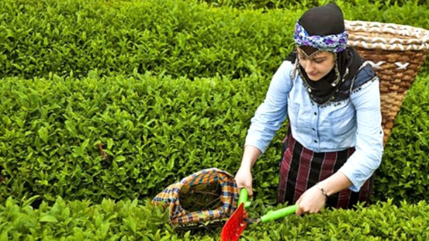 Çiftçilere ve çay üreticilerine Erdoğan'dan müjdeli haber