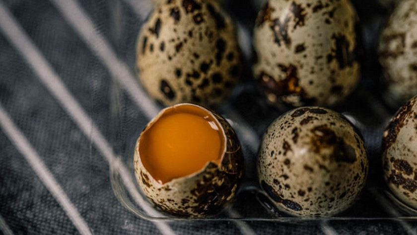 Bıldırcın yumurtasının sağlığa yararları nelerdir?