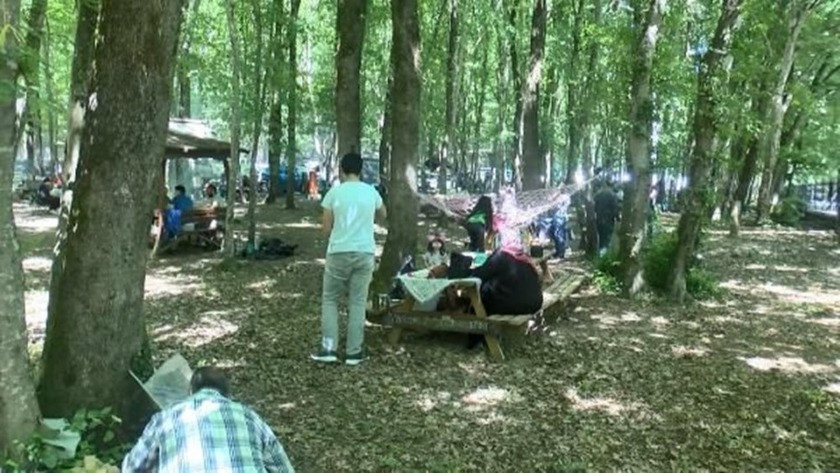 İstanbullular soluğu Belgrad Ormanı'nda aldı