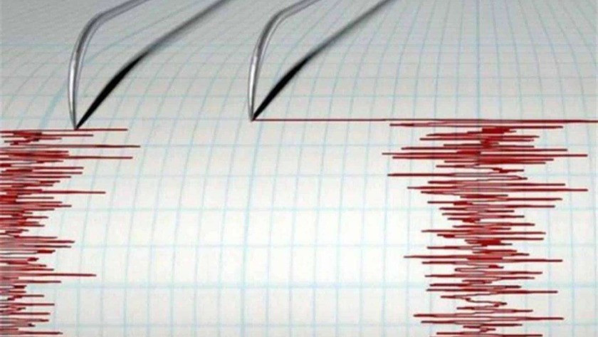 İzmir'de peş peşe depremler'in ardından Naci Görür'den açıklama