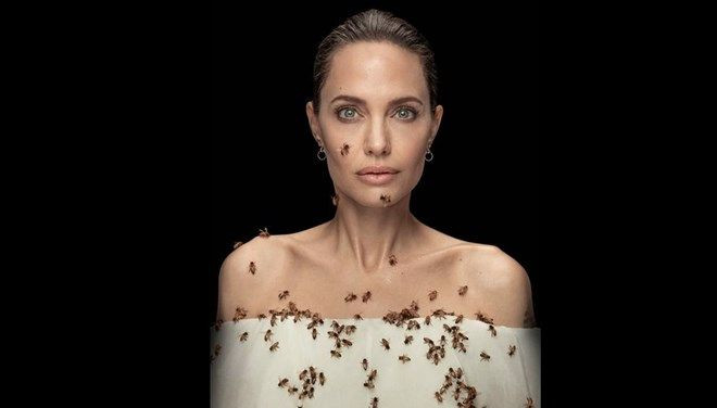 Angelina Jolie 18 dakika hiç kıpırdaman arılarla poz verdi! Sebebi ise... - Sayfa 1